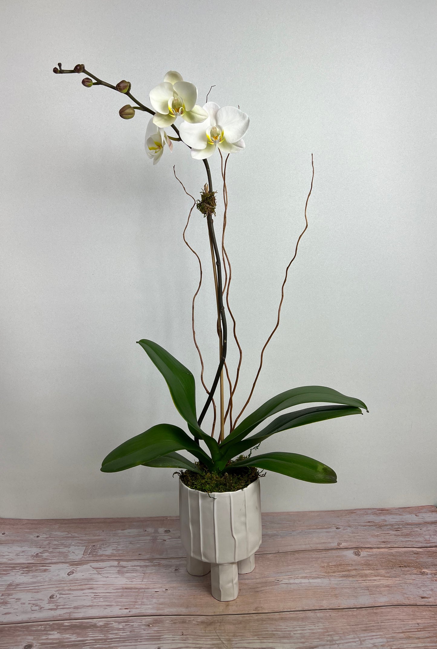 DG-132 Orchid Arrangements