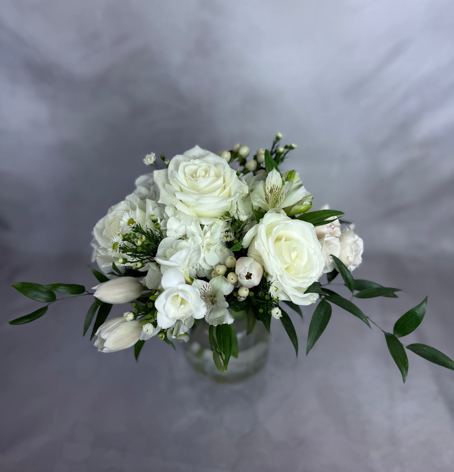 Snow-white (Regular)