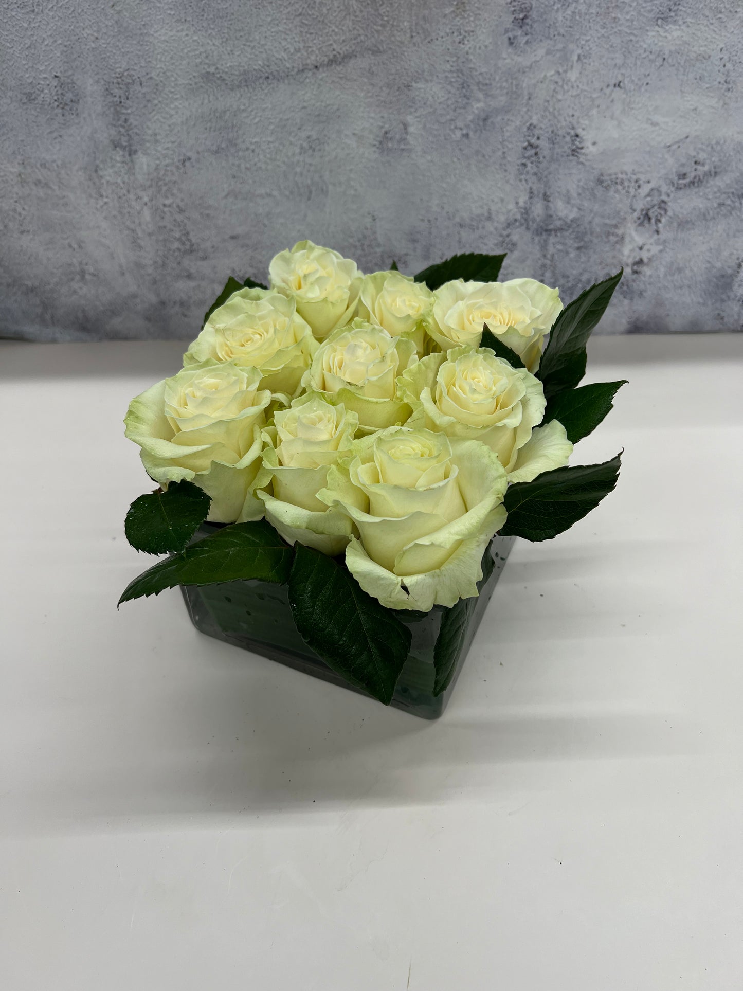 Modern Rose Hedge