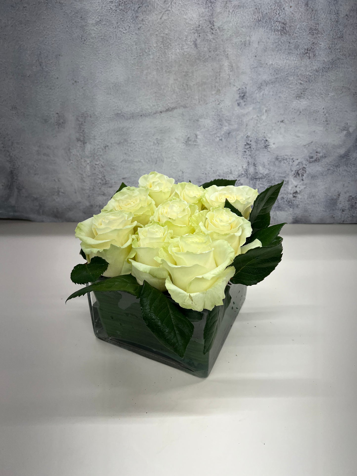 Modern Rose Hedge