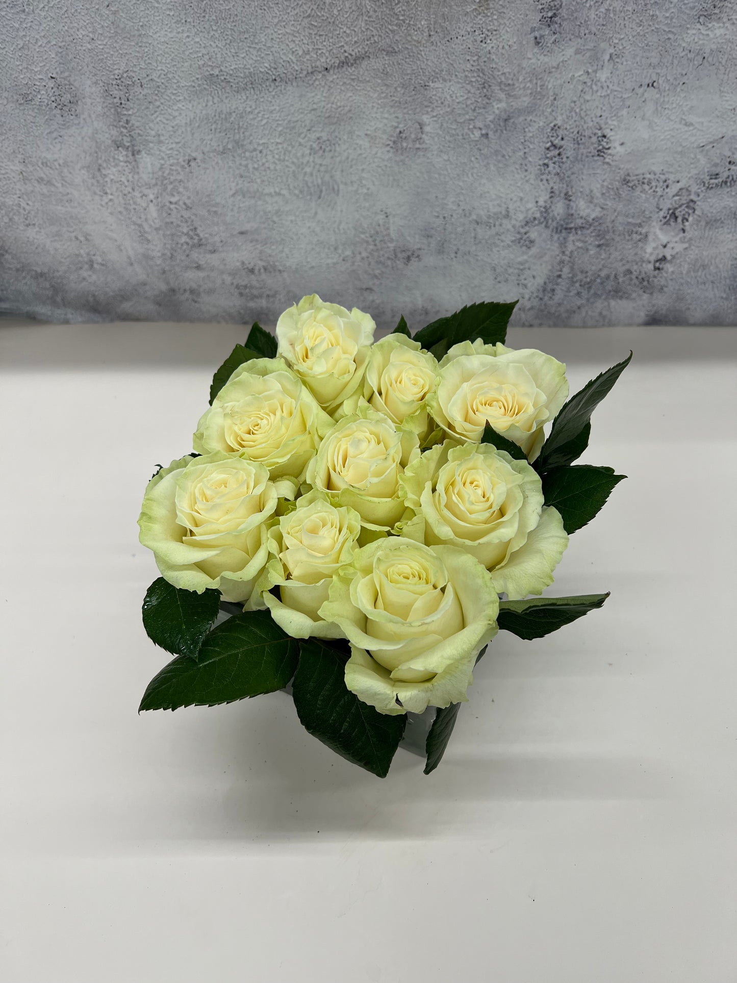 Modern Rose Hedge