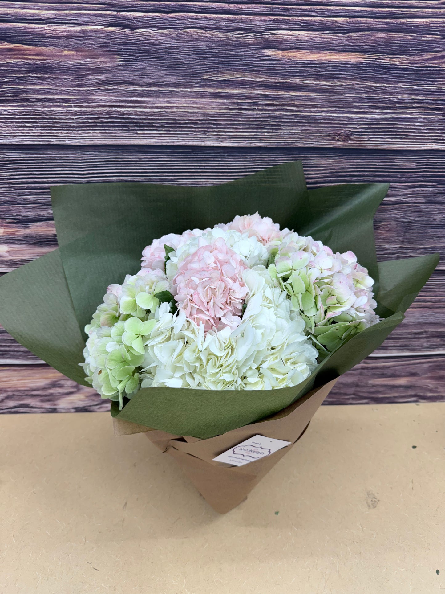 Premium Hydrangea