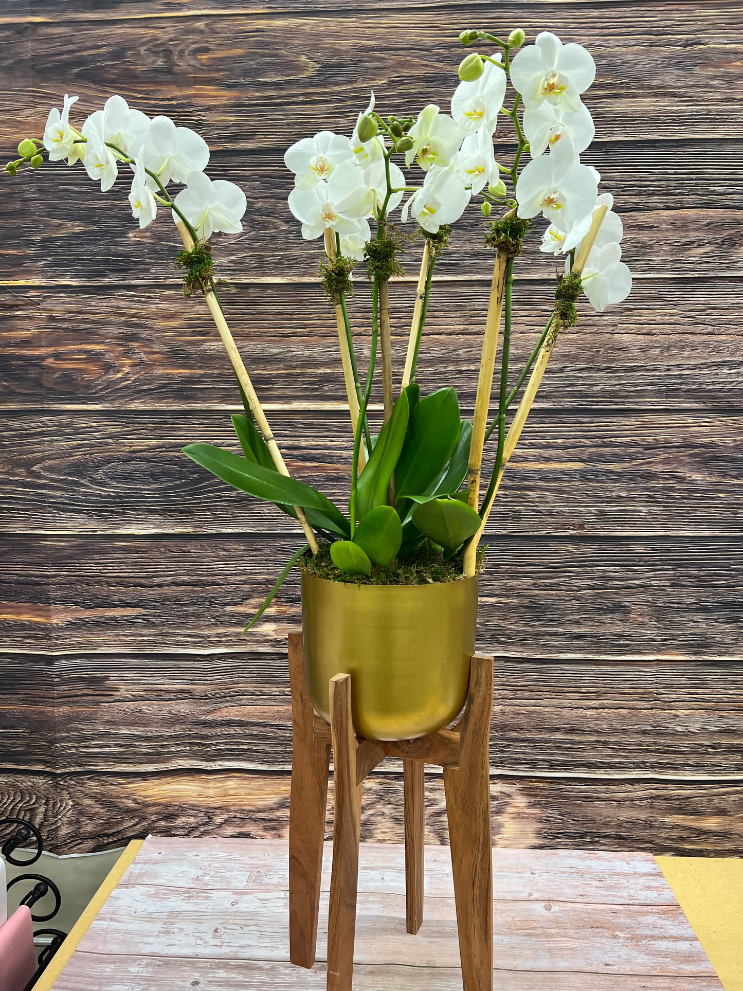 DG-132 Orchid Arrangements