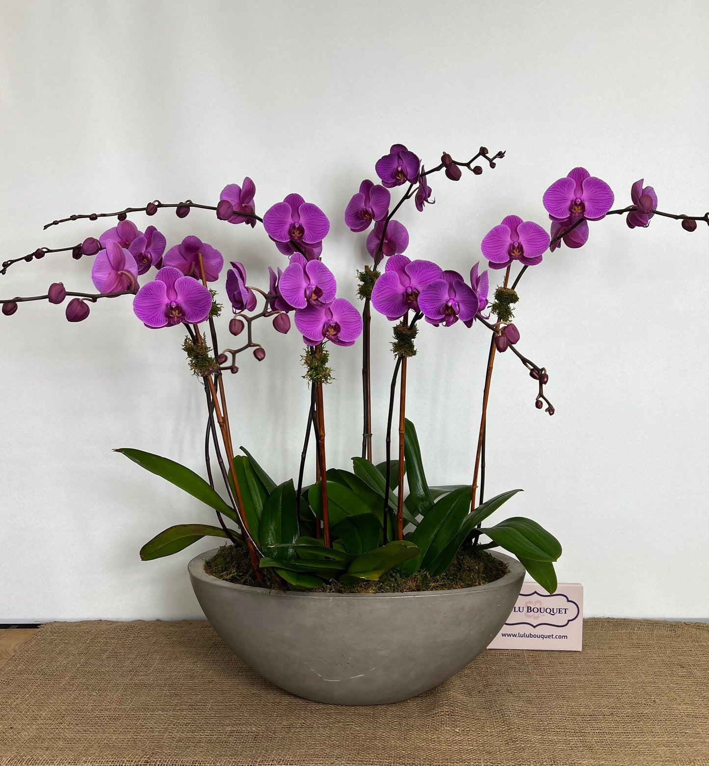 Signature Orchid Design (Seven stem)