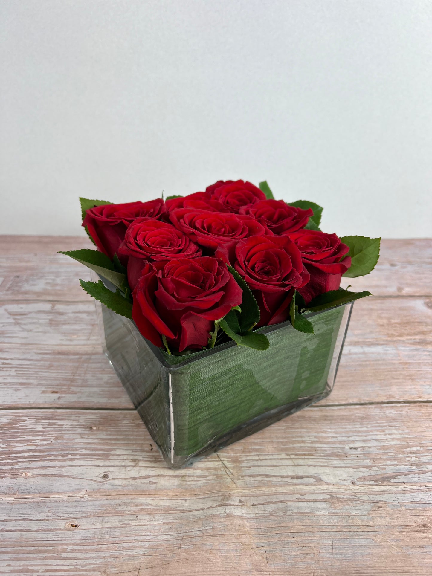Modern Rose Hedge