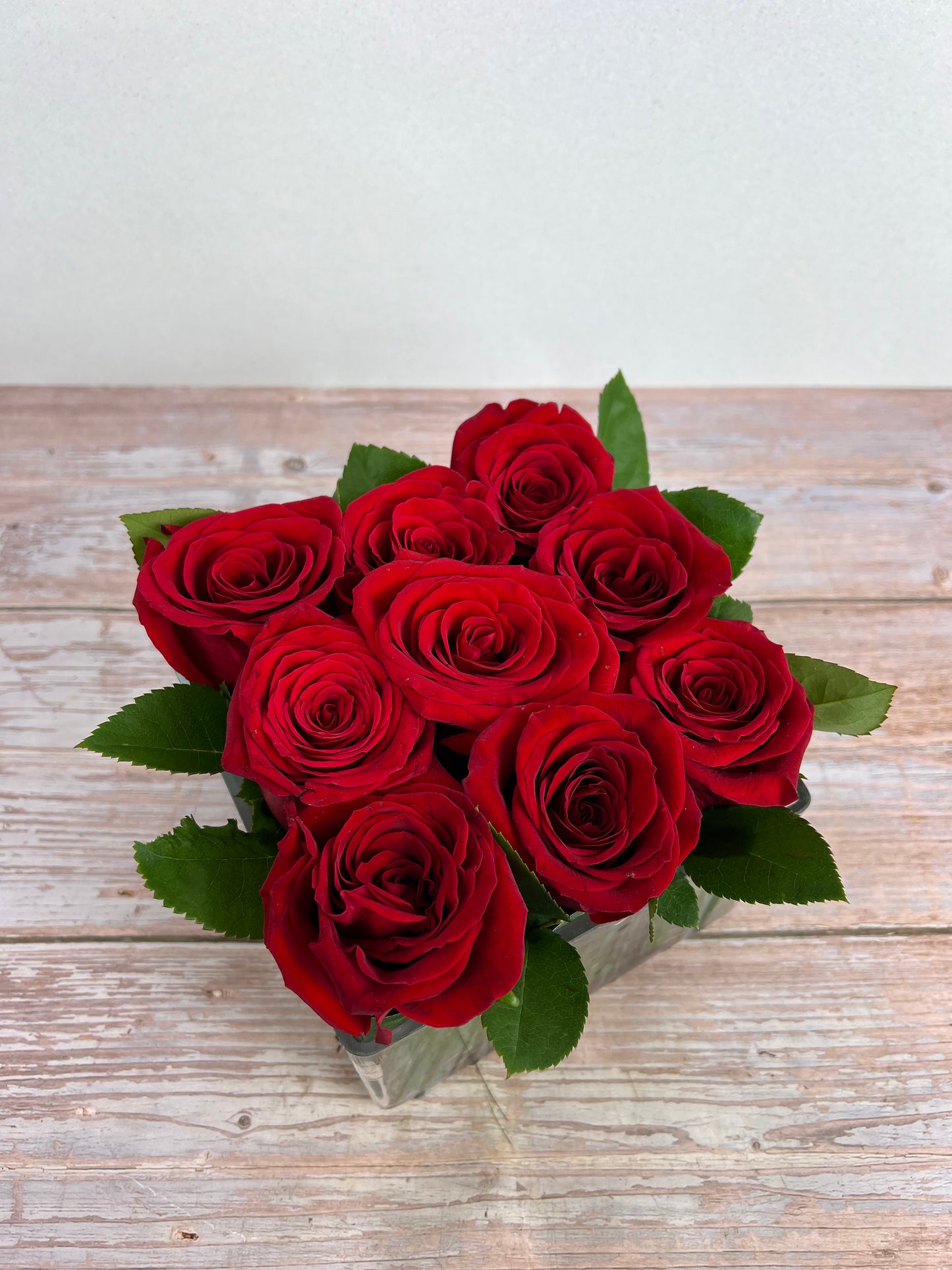 Modern Rose Hedge