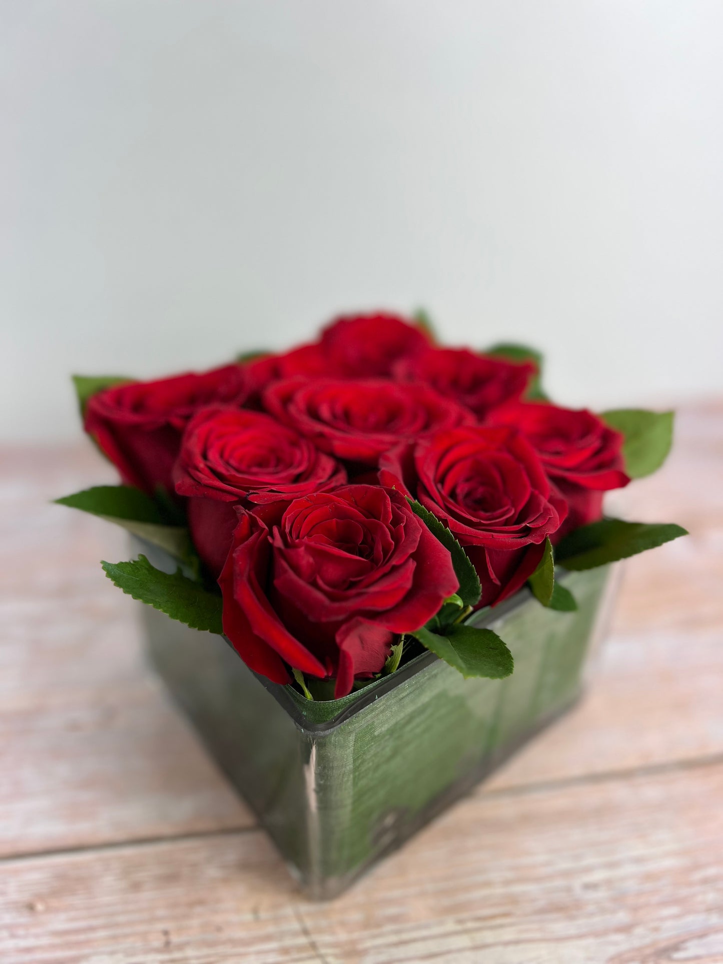 Modern Rose Hedge