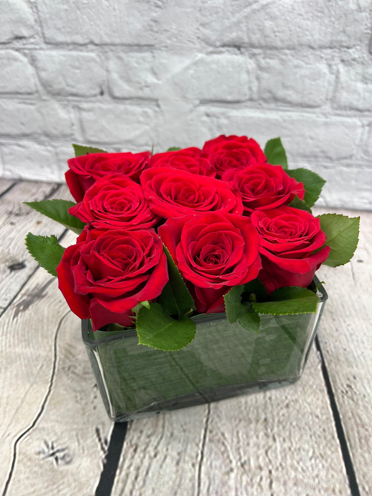 Modern Rose Hedge