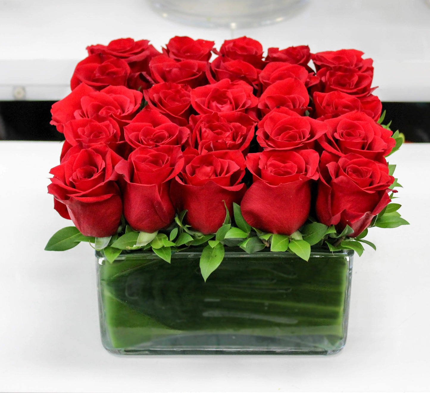 Modern Rose Hedge
