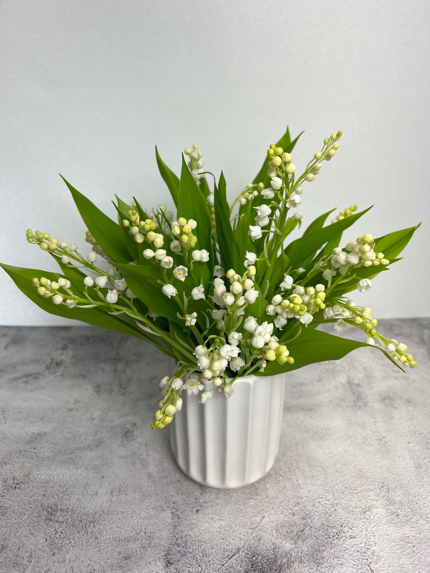 DPU-211 (Lily of the Valley)