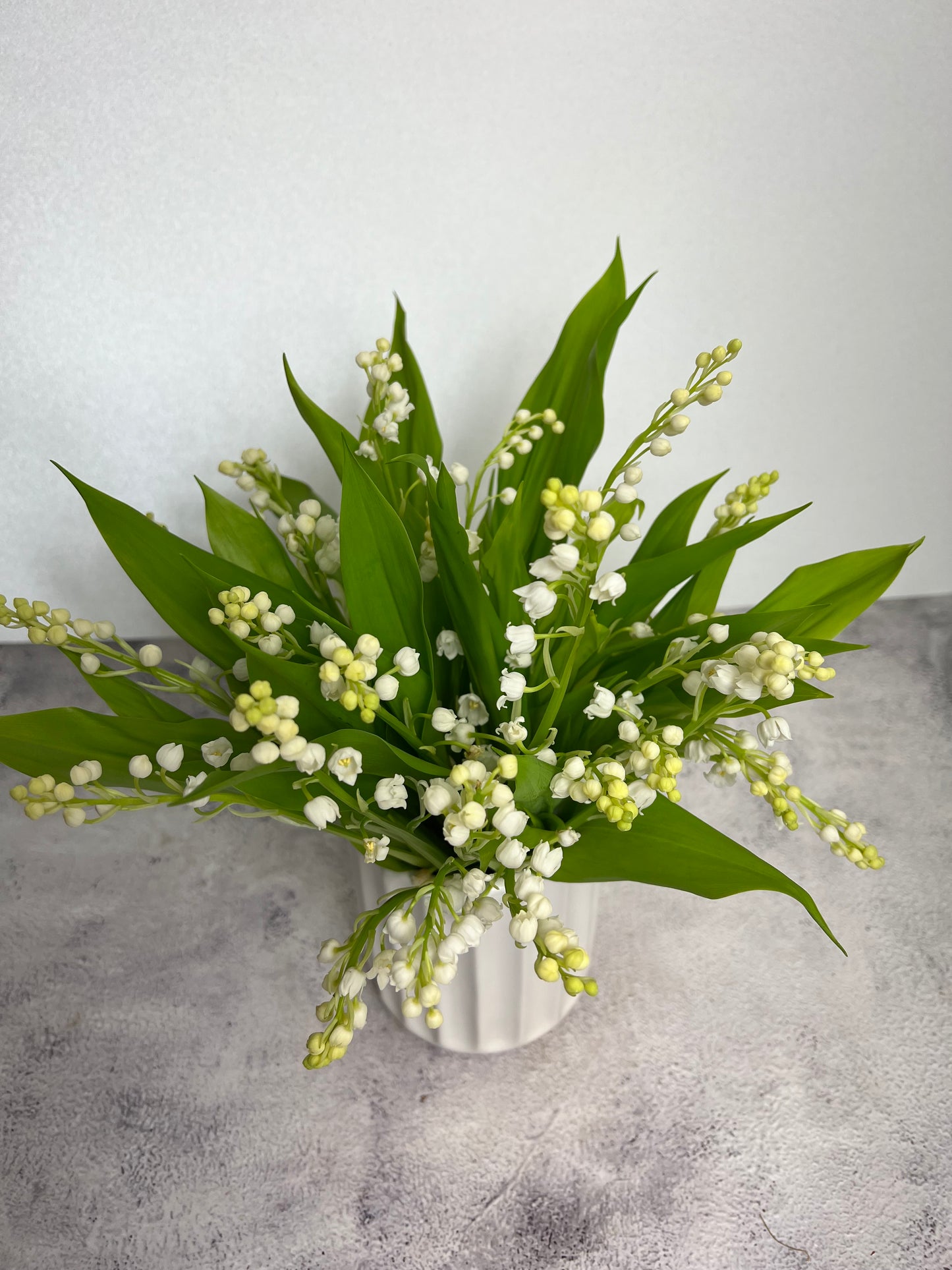 DPU-211 (Lily of the Valley)