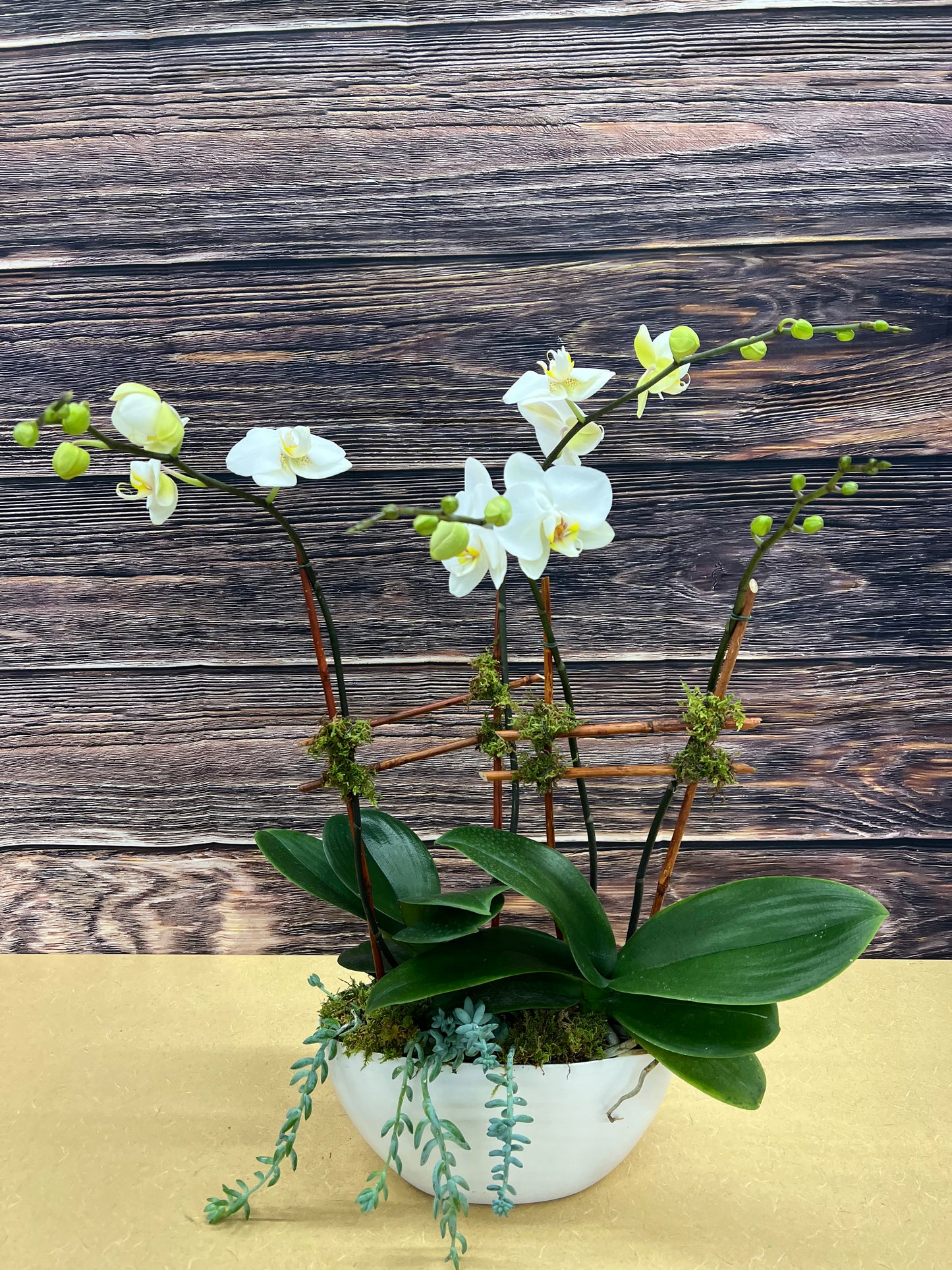 DG-132 Orchid Arrangements