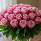 Pink Rosa