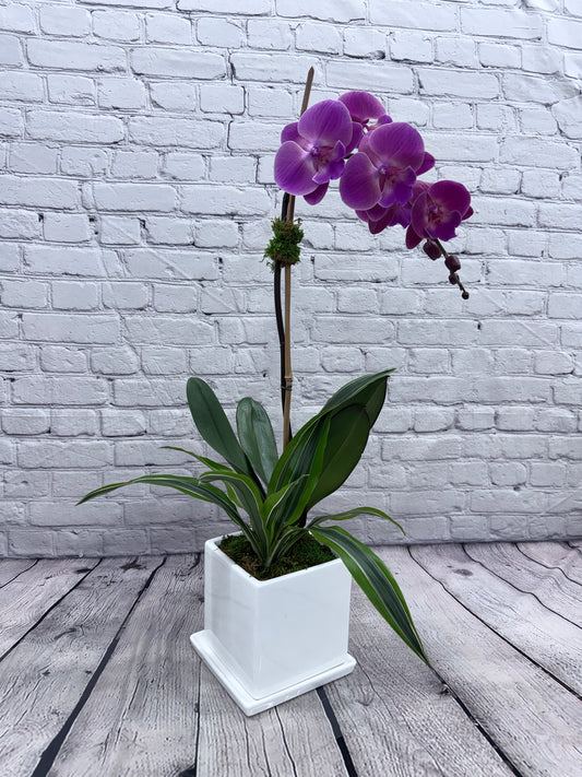 Orchid Design (Single stem)