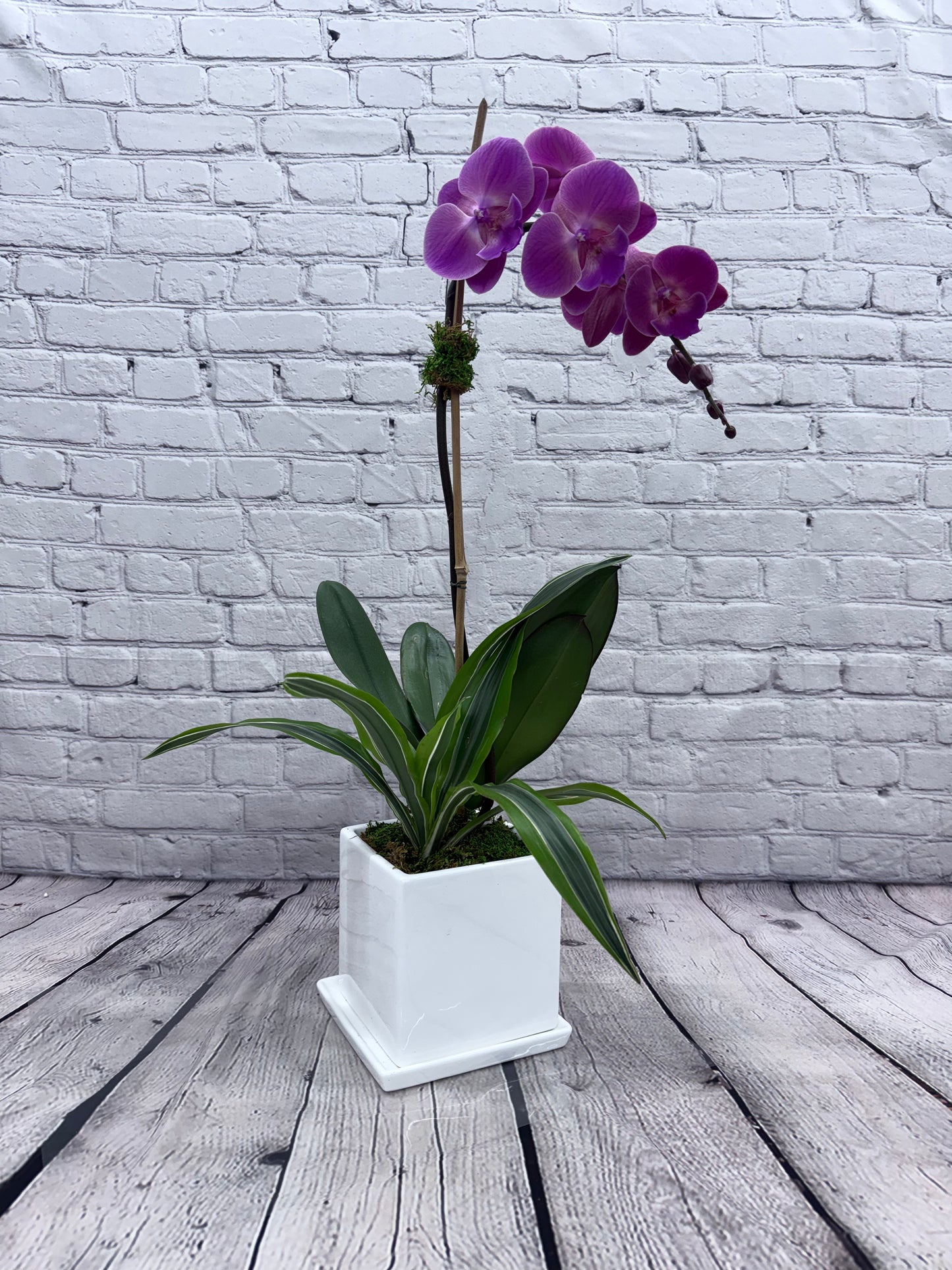 Orchid Design (Single stem)