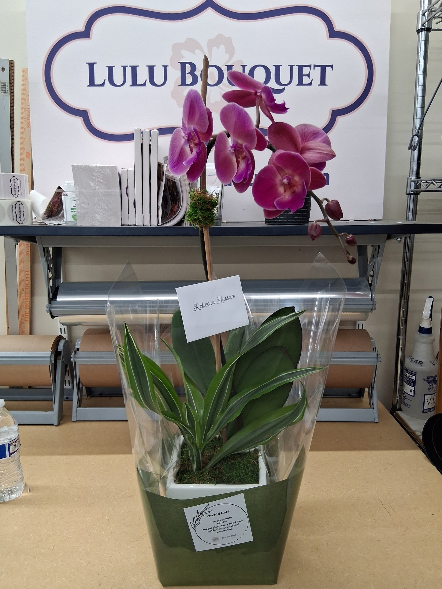 Orchid Design (Single stem)