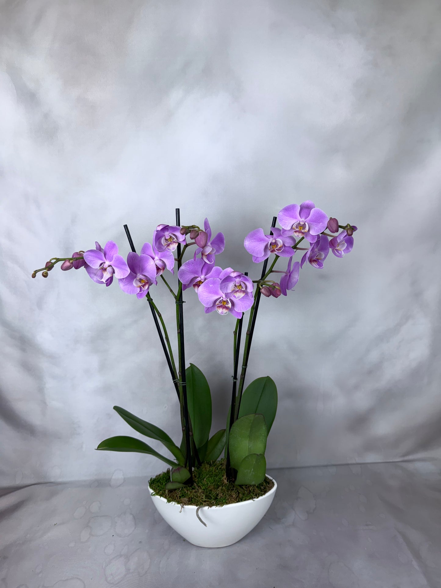 Signature Orchid Design (Triple stem)