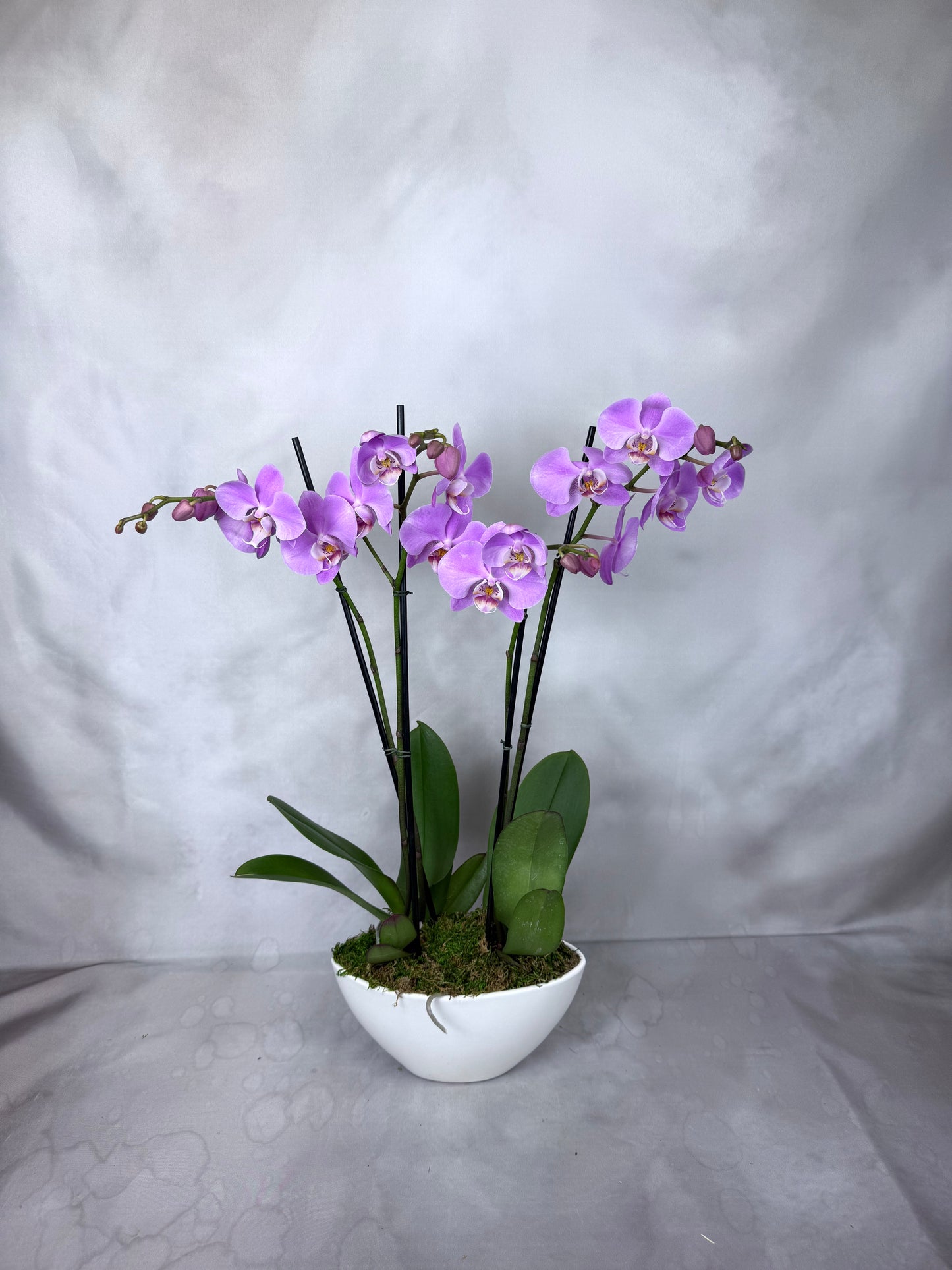 Signature Orchid Design (Triple stem)