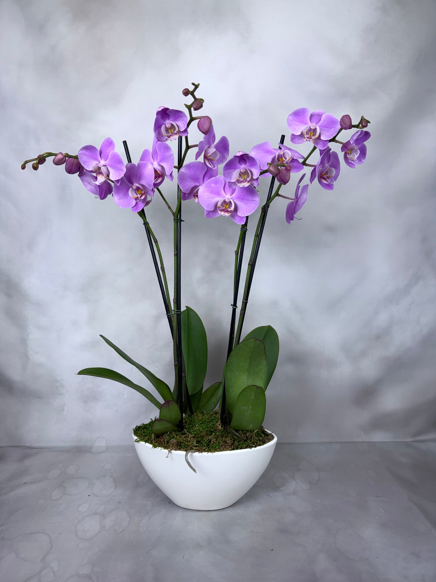 Signature Orchid Design (Triple stem)