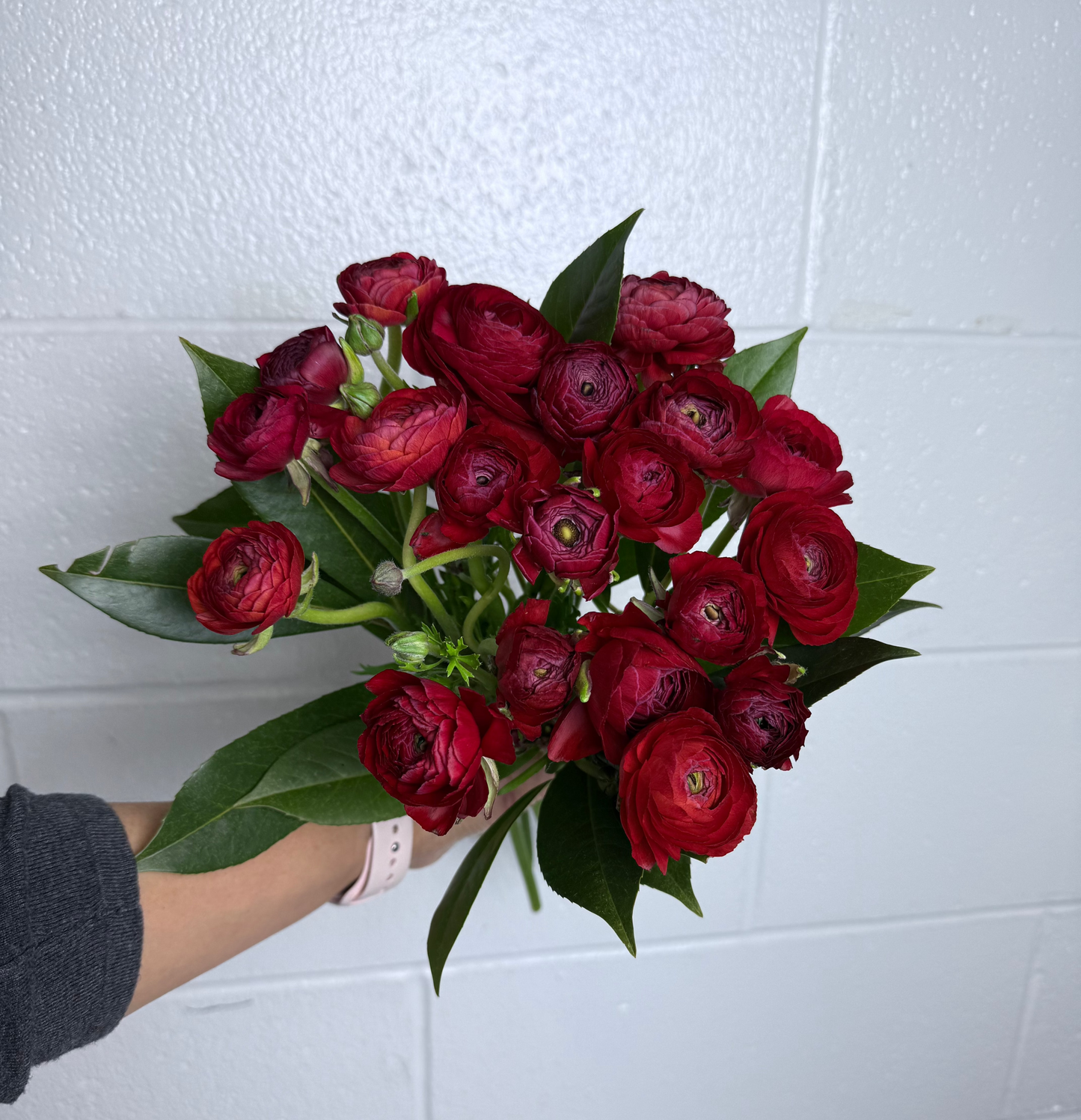 Ranunculus Hand-tied Bouquet