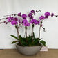 Lulu's signature Orchid Arrangement