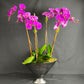 Lulu's signature Orchid Arrangement