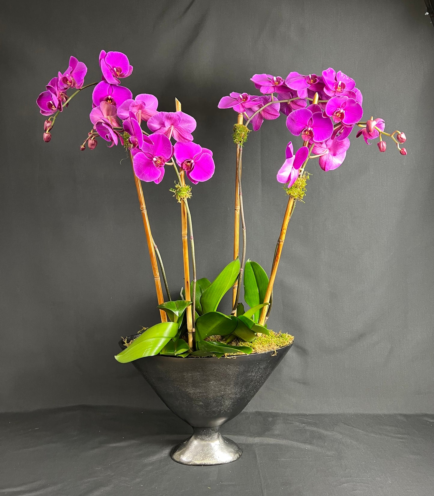 Lulu's signature Orchid Arrangement