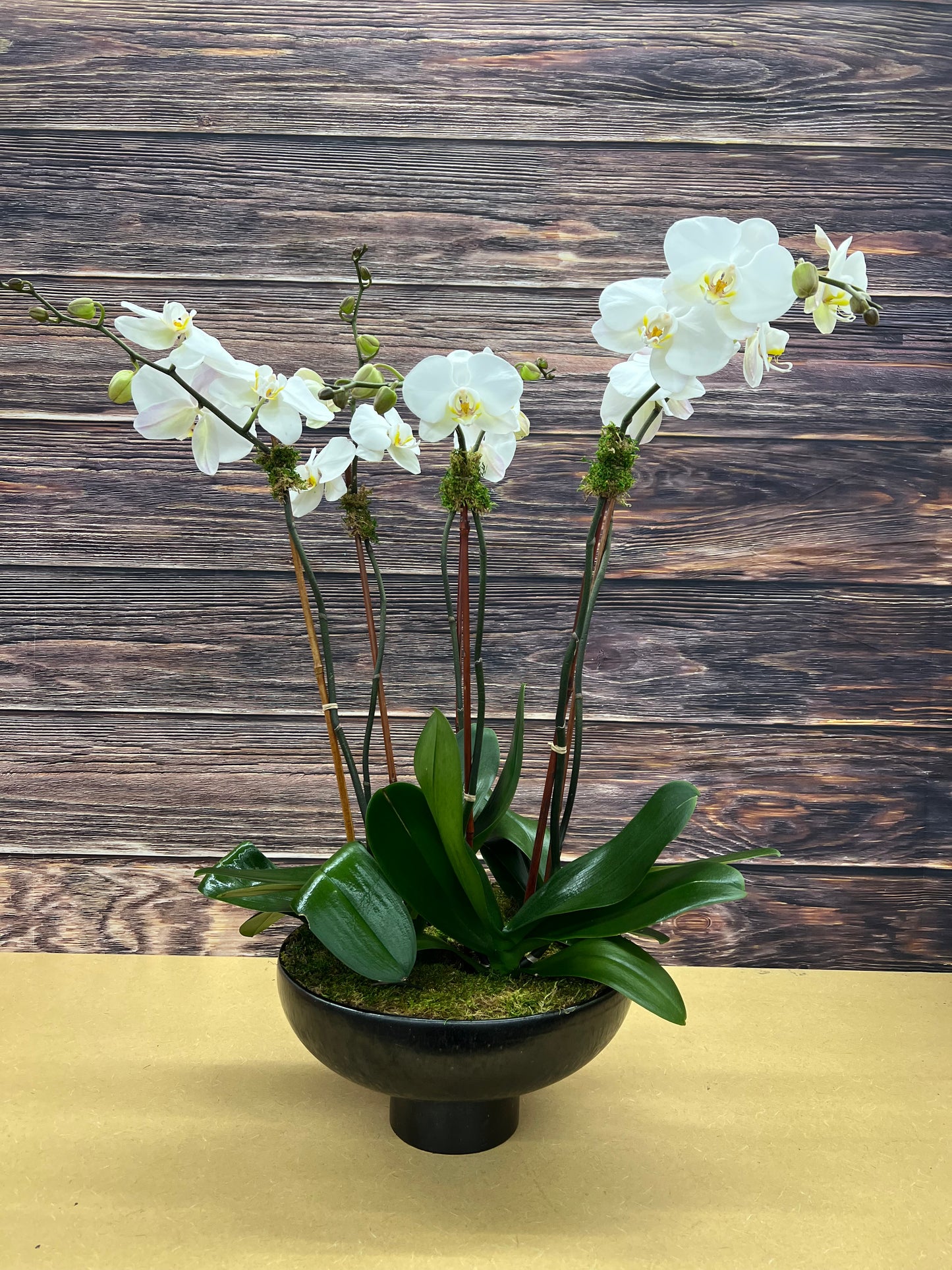 Lulu's signature Orchid Arrangement