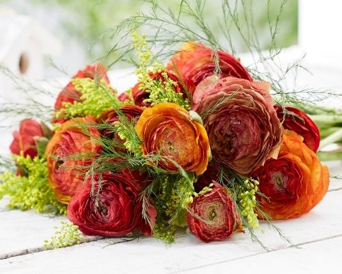 Ranunculus Hand-tied Bouquet