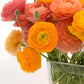 Ranunculus Hand-tied Bouquet