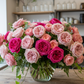 Pink Rosa