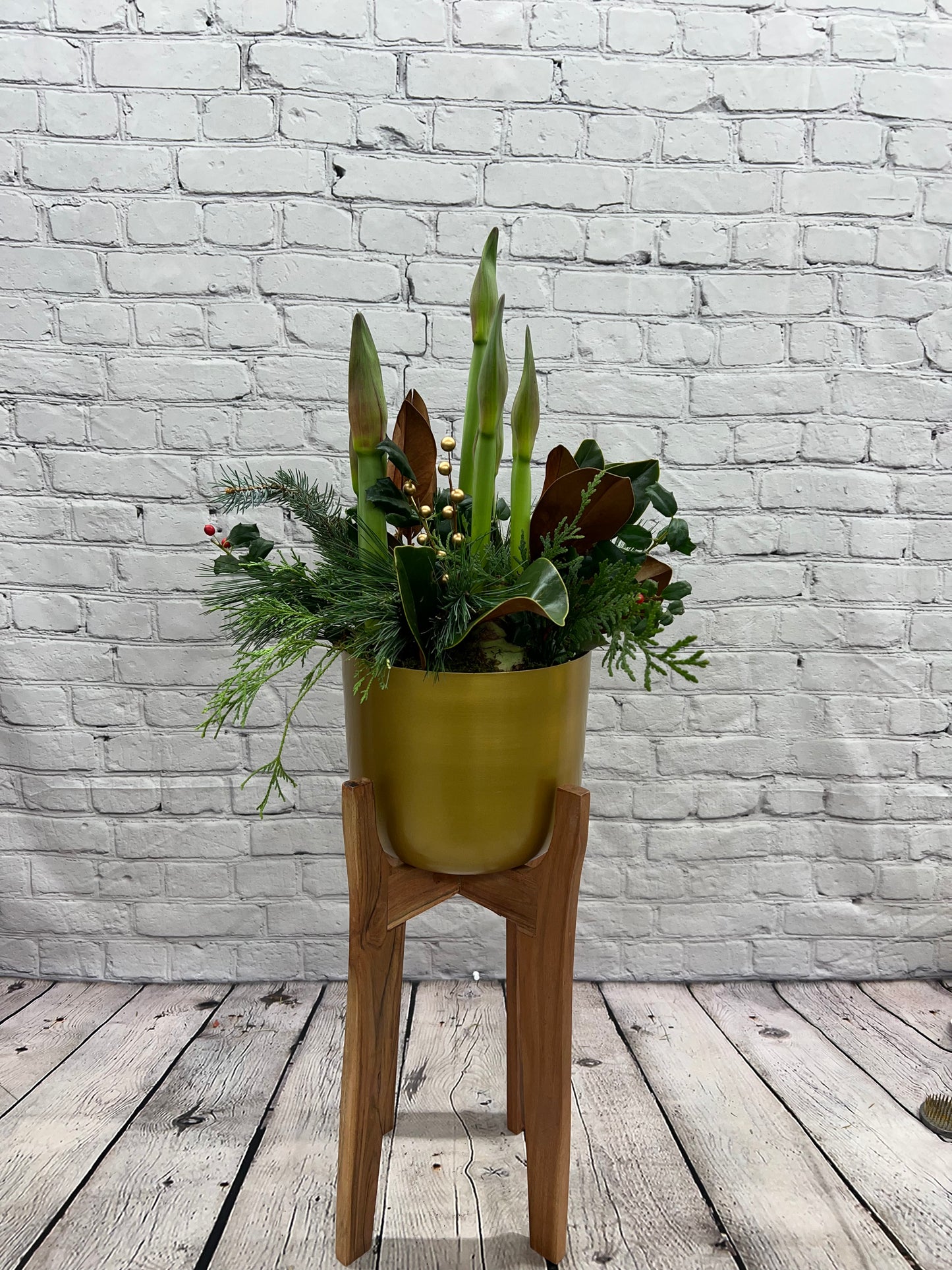 DG-014 (Amaryllis plant arrangement)